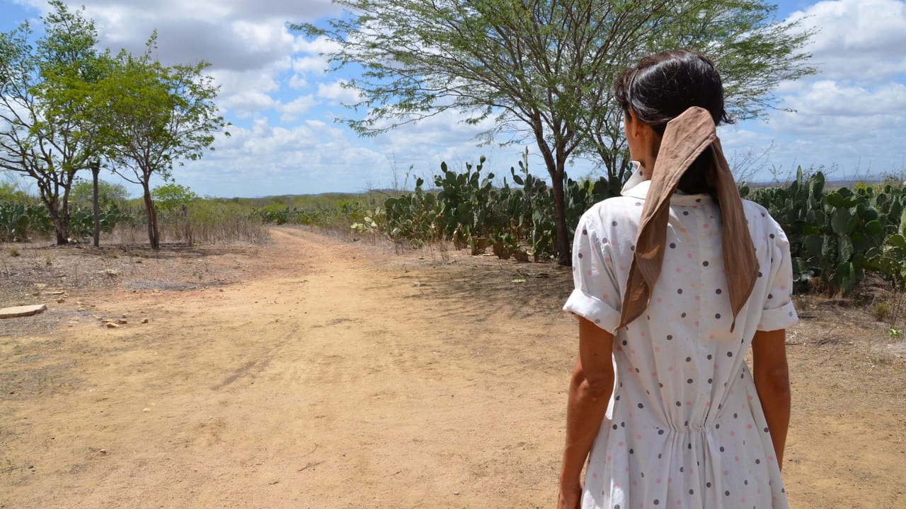 A poeira dos pequenos segredos